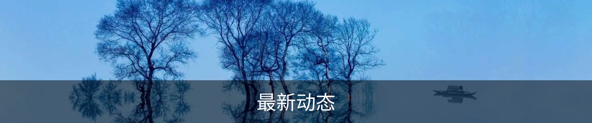 最新动态